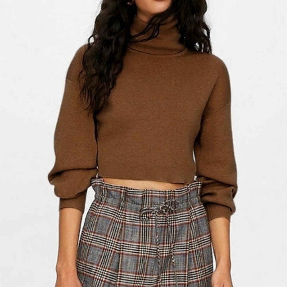 WILFRED Aritzia Brown Rebecca Crop Turtleneck Sweater